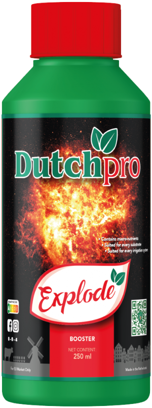 Dutch Pro Explode - 250ml